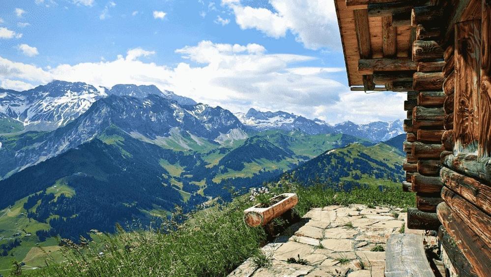 Edelweiss 4 Zi Ferienwohnung In Landhaus Фрутиген Экстерьер фото