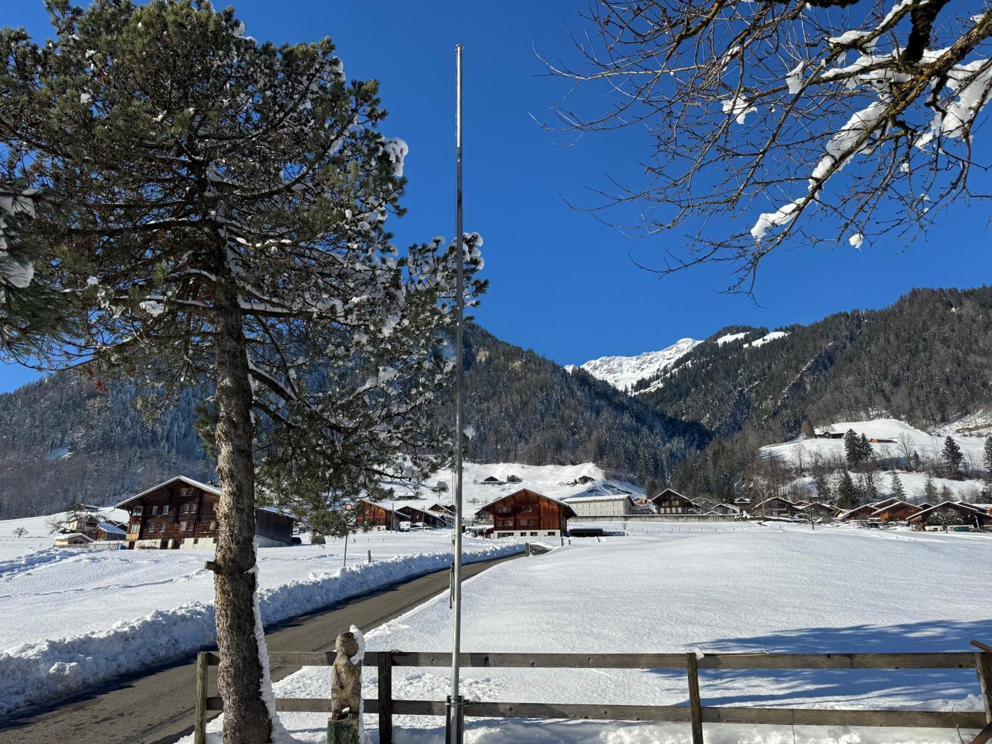 Edelweiss 4 Zi Ferienwohnung In Landhaus Фрутиген Экстерьер фото